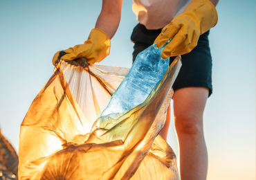 Reciclagem: por que e como fazer?