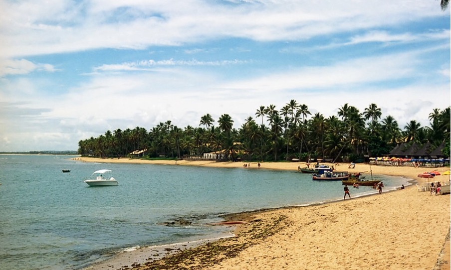 Praia do Forte, Mata de São João (BA)