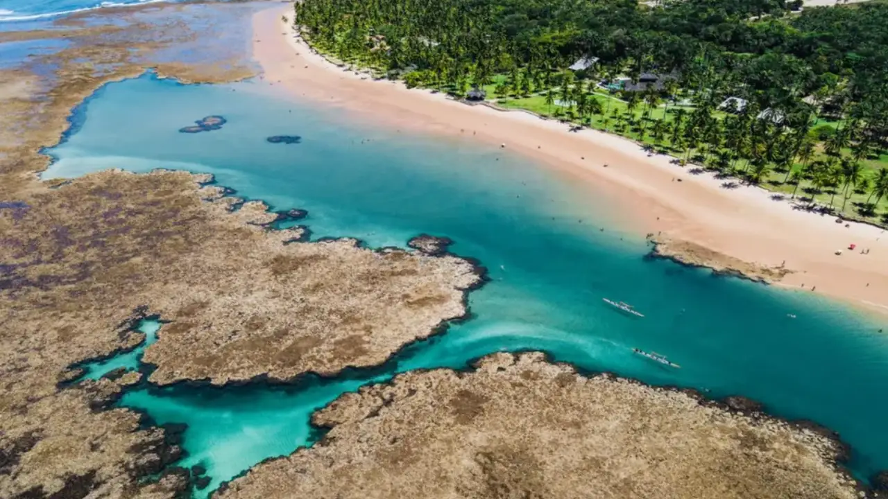 praia de península de maraú vista de cima com água azul cristalina e coqueiros na costa