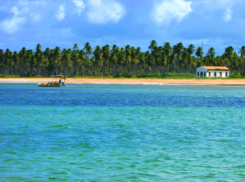 paisagem da praia de São Miguel dos Milagres com água do mar azul e coqueiros na orla da praia.