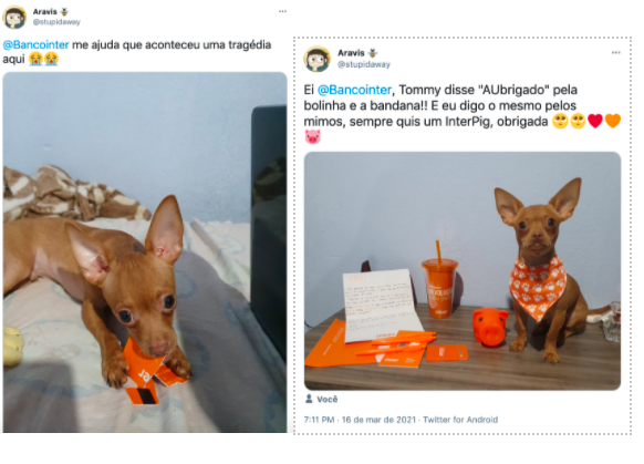 primeira foto mostra cachorro mordendo um cartão de crédito quebrado do Inter, na segunda foto o cachorrinho aparece usando um lenço laranja ao lado de outros brindes como copo e cofrinho. 